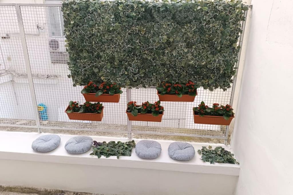 Home130 Bari Zewnętrze zdjęcie